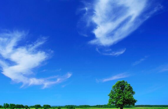 お車のにおいが気になる、取れないとお悩みの方は近江八幡のオートレップ関西へ