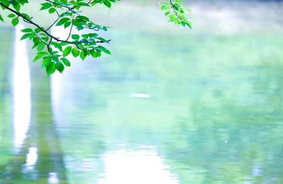 新発売！次世代型高性能自動車ボディガラスコーティング剤　エクセレントシャイン